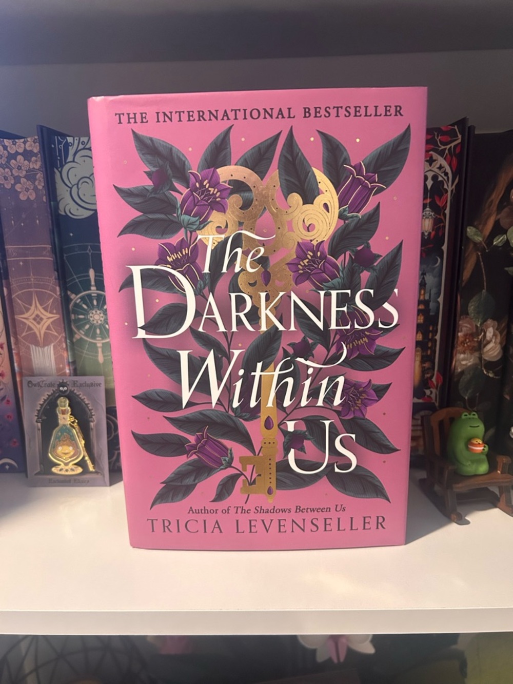 Fairyloot The Darkness Within Us Hardcover by Tricia Levenseller